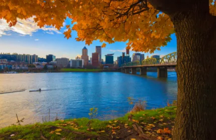 Portland skyline along the Willamette River framed by orange autumn leaves and a bridge
